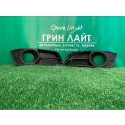 Оправы туманок Toyota RUNX Allex 04-06